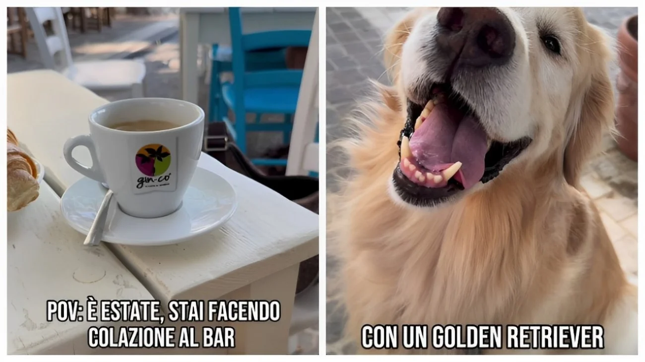 Golden Retriever implora la padrona di fare colazione: vuole cornetto e cappuccino al bar